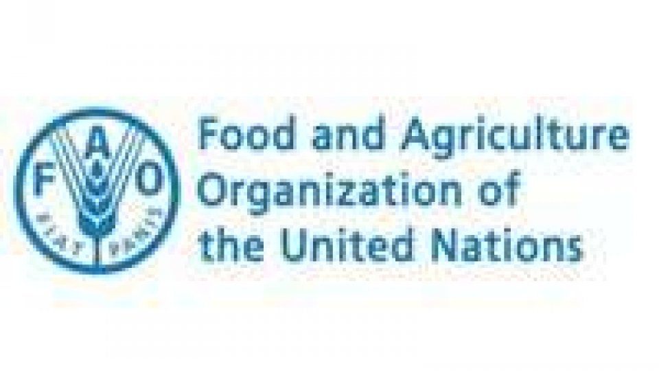 Giornata mondiale dell'Alimentazione: anche San Marino parteciperà al vertice Fao a Roma