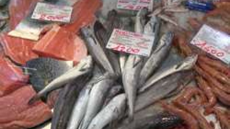 Mercato coperto di RiminiStop alla pesca in Adriatico: da Trieste ad Ancona niente pesce fresco fino al 10 settembre