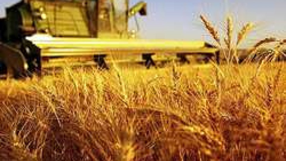 140 quintali di grano e orzo agli agricoltori