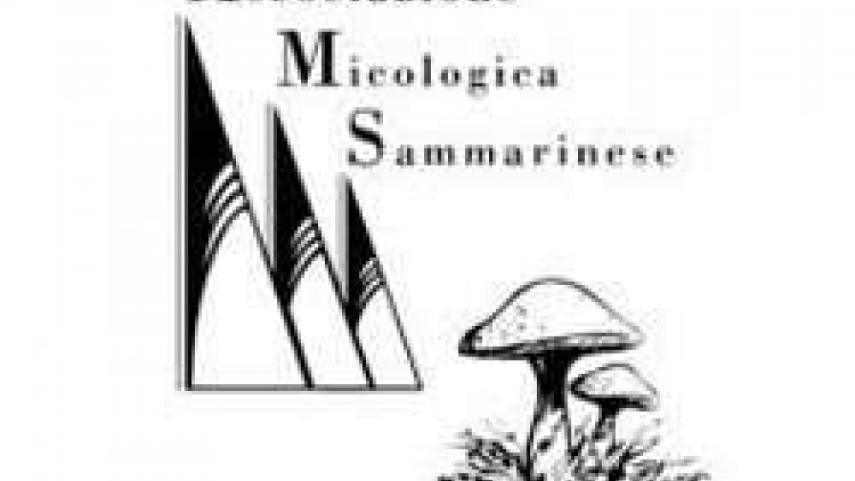 Associazione Micologica Sammarinese