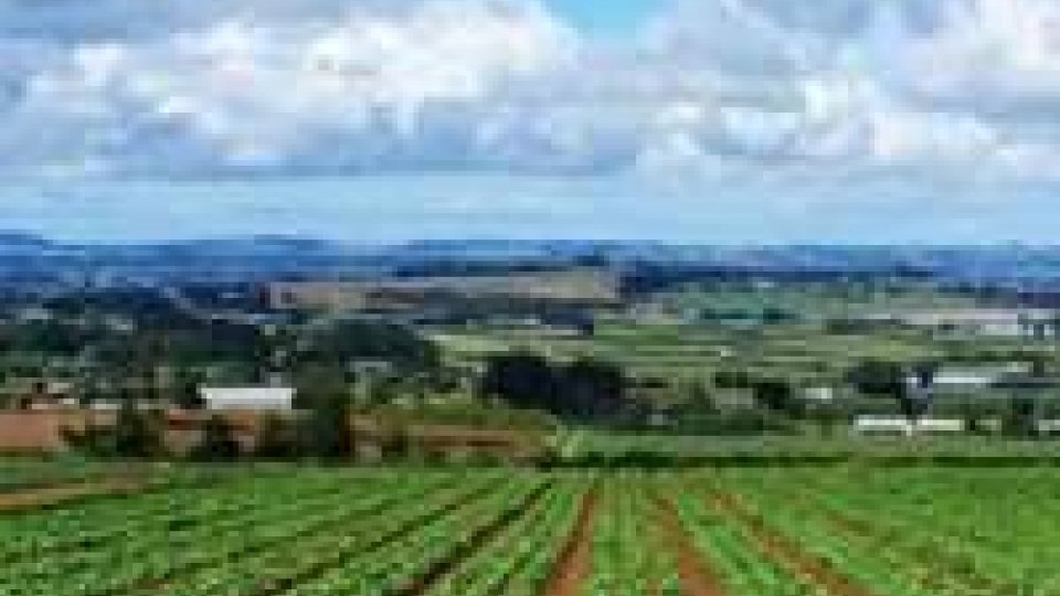 Il rapporto 2012 sulla Green Eeconomy in Emilia Romagna parla d’imprese verdi nell’agroalimentare