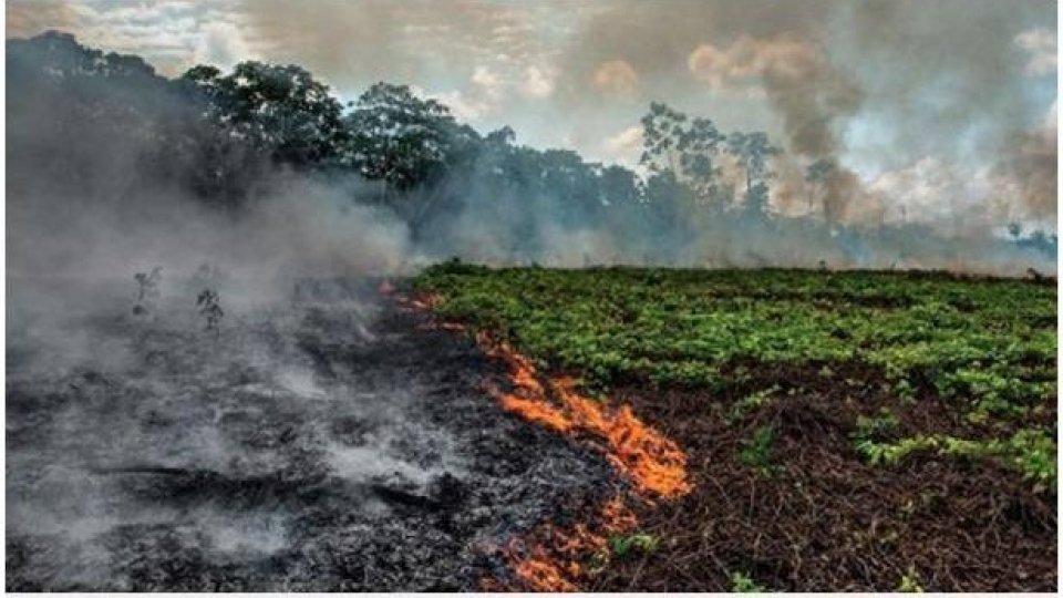 G7, sul tavolo anche gli incendi in Amazzonia