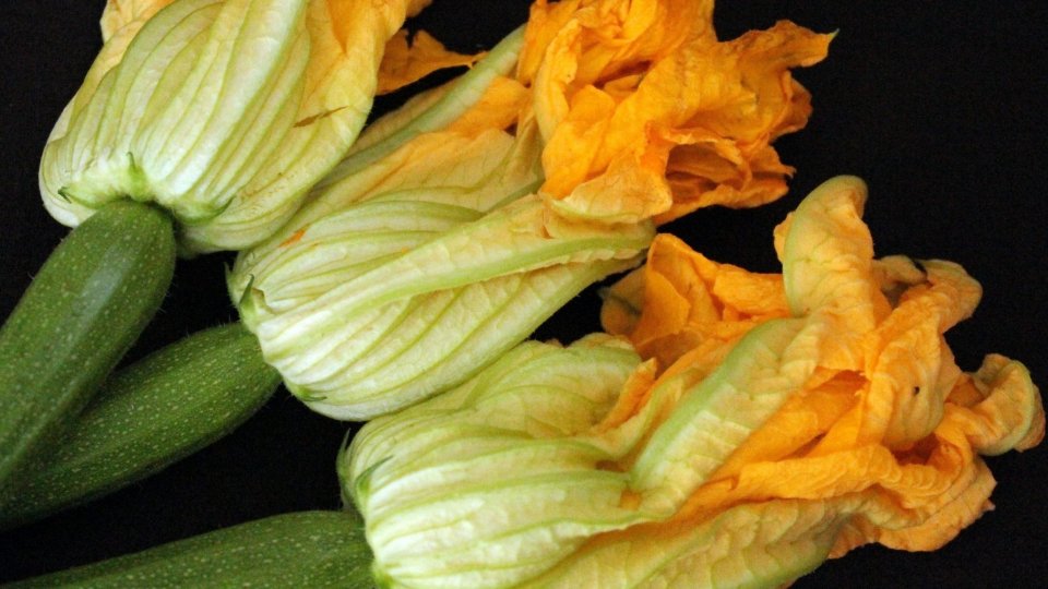 Parmigiana di zucchine ed i suoi fiori