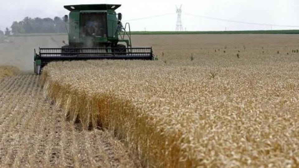 L'allarme siccità di Confagricoltura E-R: “Più autosufficienti per la produzione di grano”