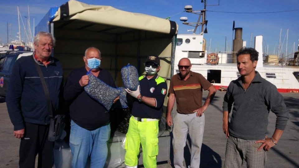 Protezione civile Rimini: continua la solidarietà dei lavoratori del mare, 3 quintali di cozze, 90 kg di vongole e tanto pesce fresco donati per i cittadini più in difficoltà