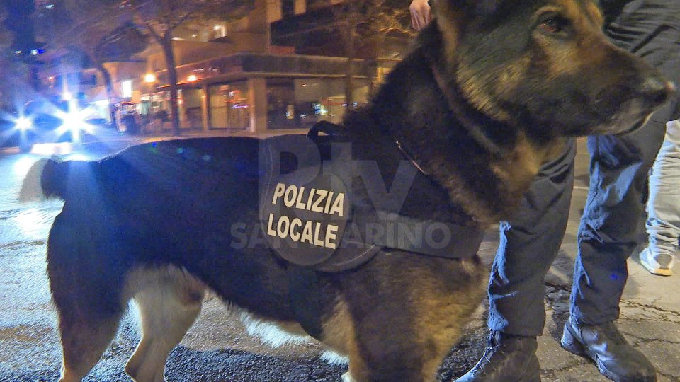 Bruce, Jago, Pablo e Thor: a Rimini gli agenti a quattro zampe contro spaccio e furti