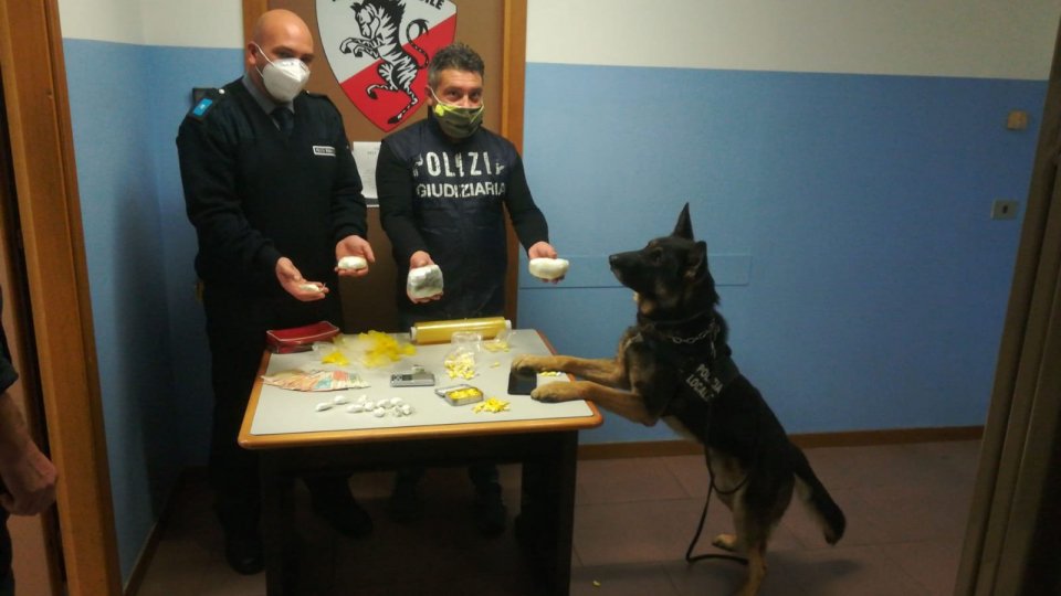 Rimini: il cane Jago fa scovare 30mila euro di droga in un'attività