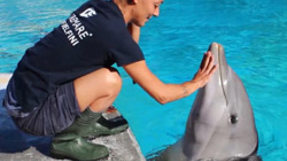 Pelé, la delfina più anziana del gruppo di OltremareBuon compleanno "nonna" di Oltremare