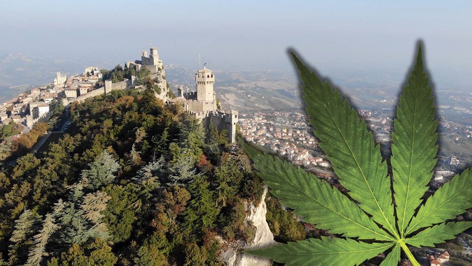 Sondaggio di Cannabis for Future San Marino: 81,7% degli intervistati favorevole a ridurre le pene per consumo della sostanza