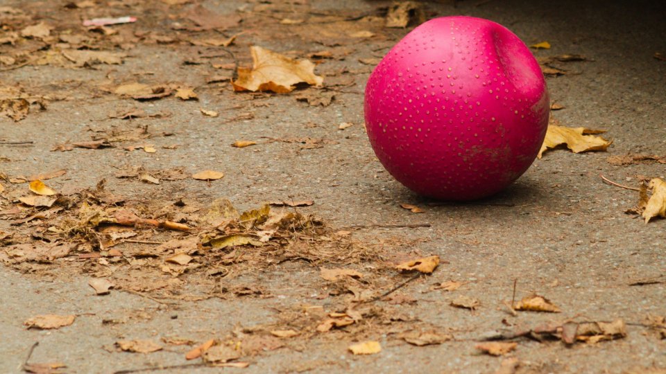 Una palla per bambini (@pixabay)
