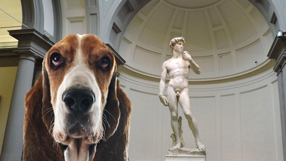 Al Museo col cane: nascono i primi servizi di dog sitter nei siti italiani più importanti