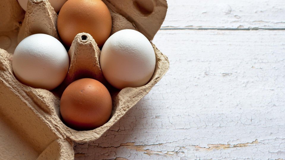Ue: influenza aviaria fa impennare prezzo delle uova, +22%