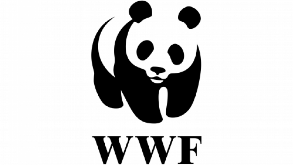 Gas fossile ed energia nucleare sostenibile, WWF si oppone