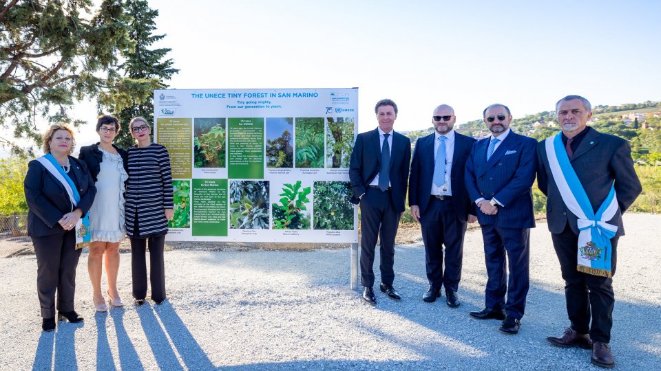 75 alberi piantati per l'UNECE a San Marino per promuovere città sostenibili per le generazioni attuali e future