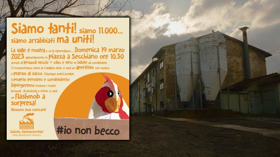 #iononbecco, protesta festosa a Maiolo contro l'allevamento di polli