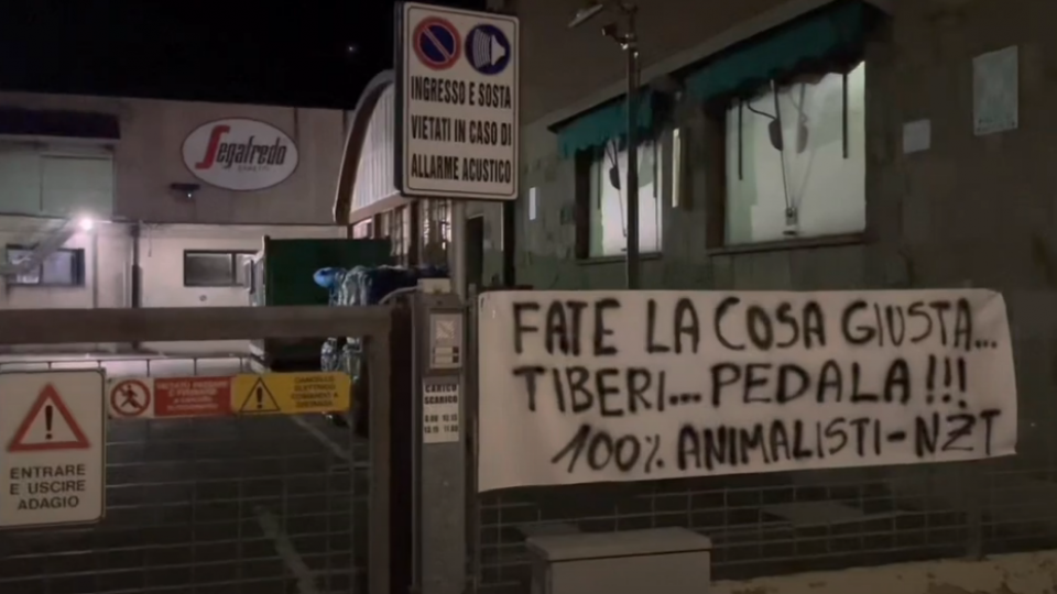 Blitz animalista alla Segafredo: “Non reintegrate Tiberi”