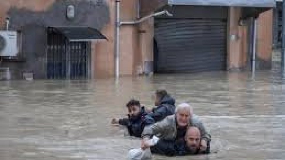 Alluvioni in Emilia Romagna. Gli animalisti lanciano l'allarme: non è maltempo, è emergenza climatica
