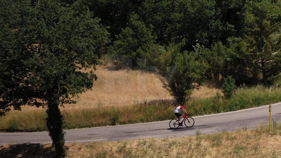 Ciclisti morti sulle strade: 113 da inizio anno; 17 in Emilia-Romagna