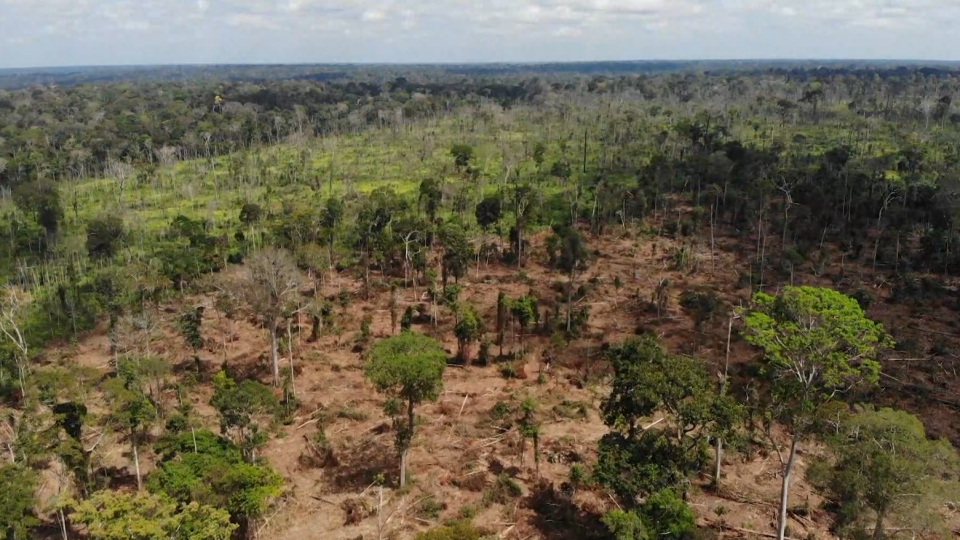 Amazzonia, per esperti “Dichiarazione di Belém” non sufficiente contro deforestazione