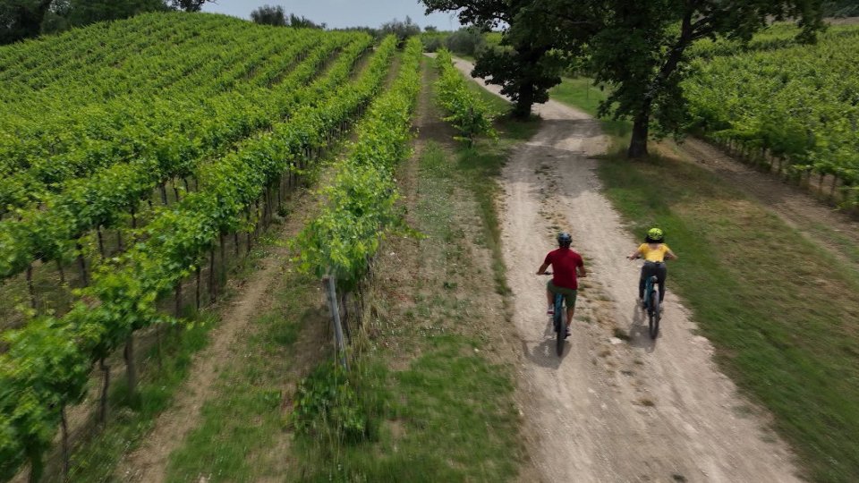 Emilia-Romagna, contributi fino al 70% per e-bike e cargo bike