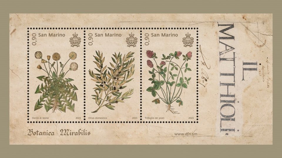 Poste San Marino, presentazione progetto emissione filatelica e mostra “Botanica Mirabilis. Il Territorio tra Arte e Natura”