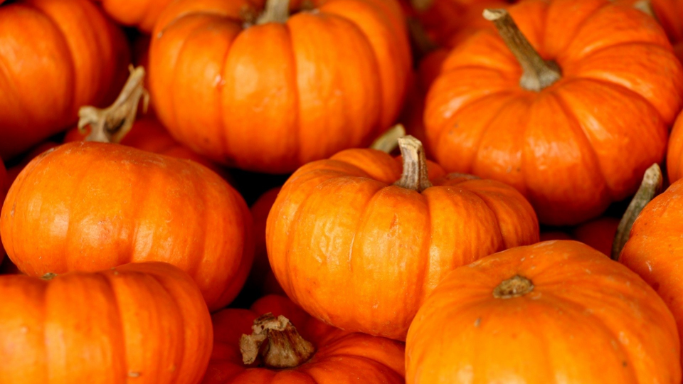 Pumpkin fever: il prezioso frutto anti-age