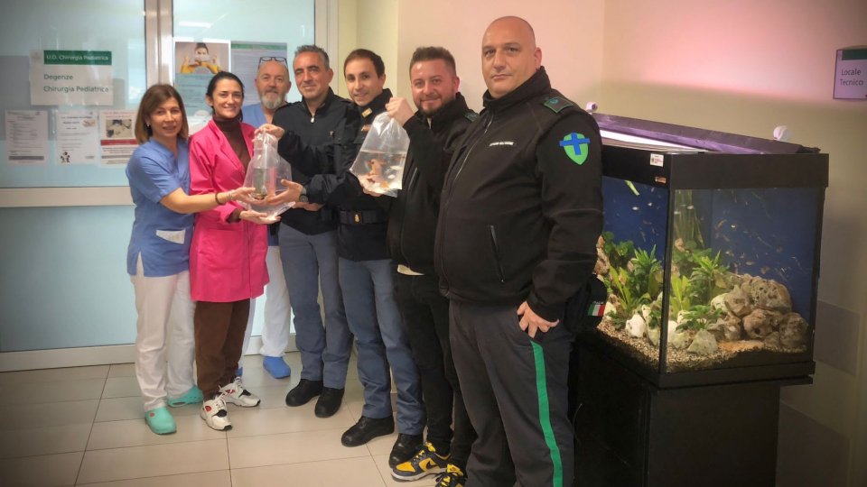 Altre donazioni di pesci all’acquario del reparto di Chirurgia Pediatrica dell’ospedale di Rimini