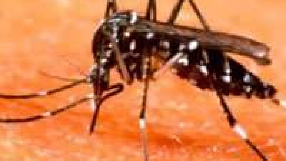 Guardia alta in Repubblica per evitare la diffusione della zanzara tigreGuardia alta in Repubblica per evitare la diffusione della zanzara tigre