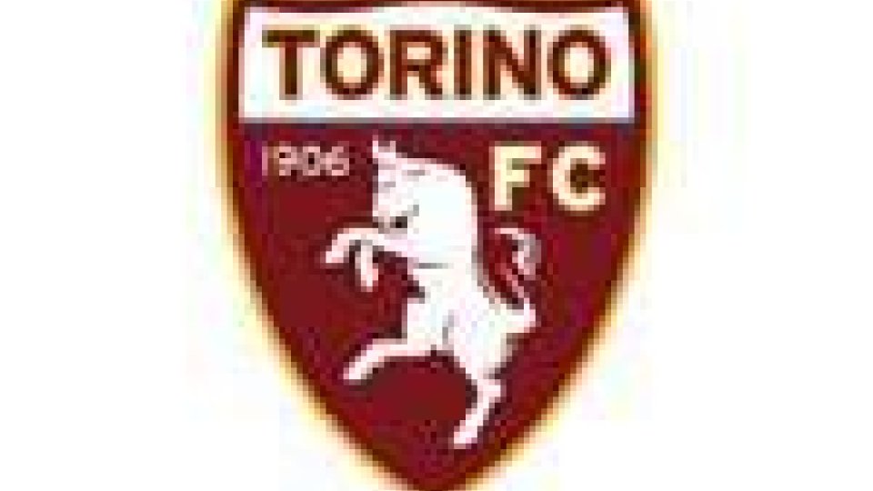 Serie B. Partita Padova-Torino 1-0, i granata fanno ricorso