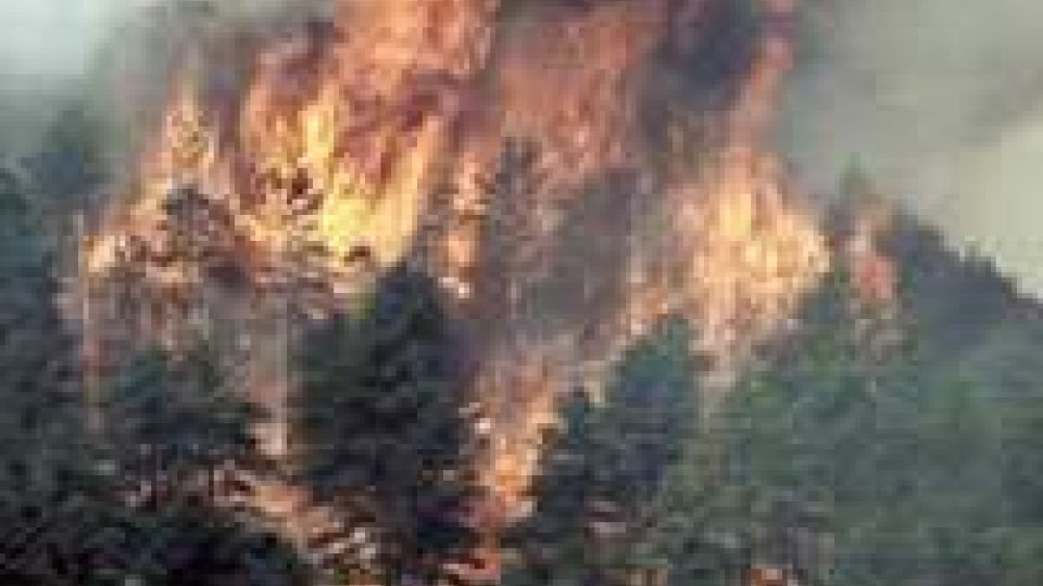 Incendi in Spagna e California