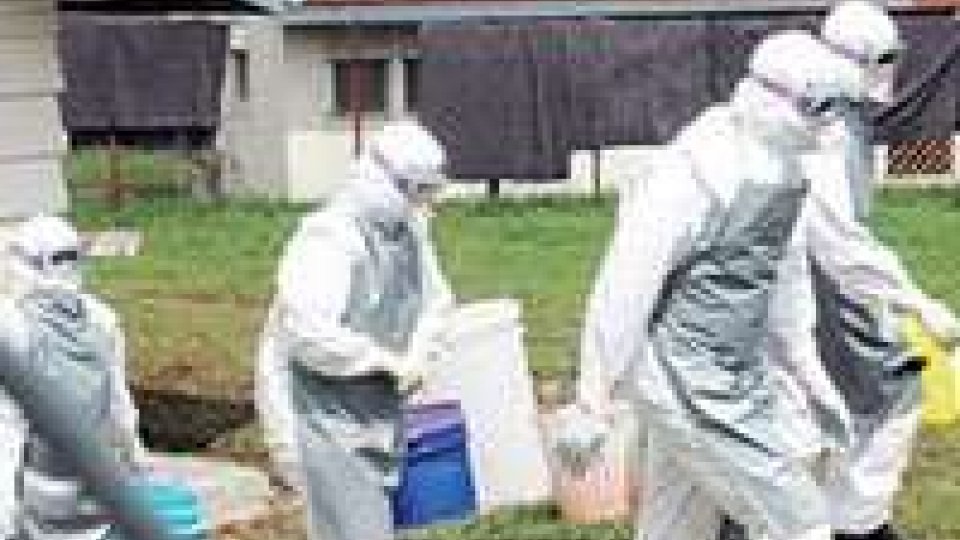 Ebola, anche in Congo 13 morti per febbre "sconosciuta"