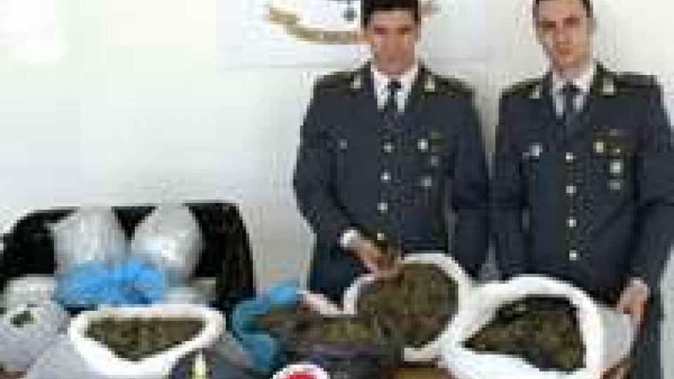 Rimini: maxi sequestro di droga della Guardia di FinanzaRimini: maxi sequestro di droga della Guardia di Finanza