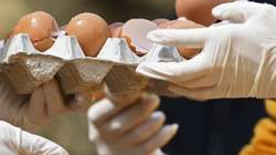 Controlli sulle uova