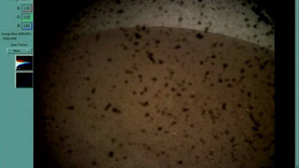 La prima immagine di Marte scattata da Insight