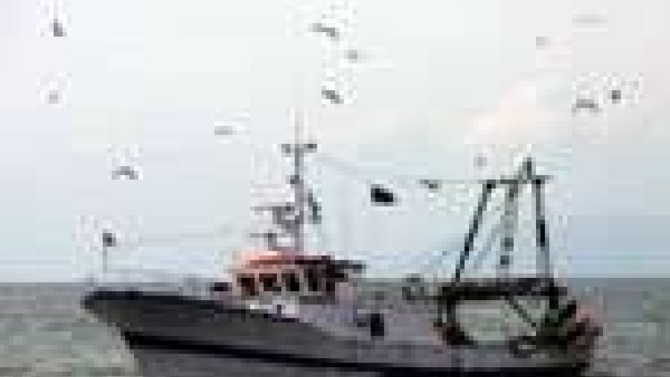 Collisione tra un mercantile e un peschereggio nel Golfo di Napoli