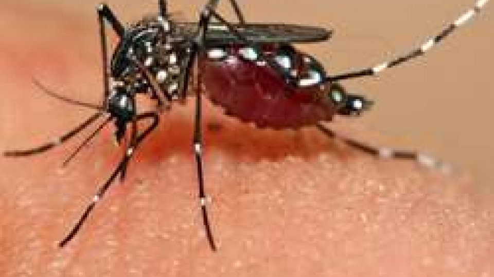 Caso di virus Zika a Rimini, scattati i protocolli sanitari