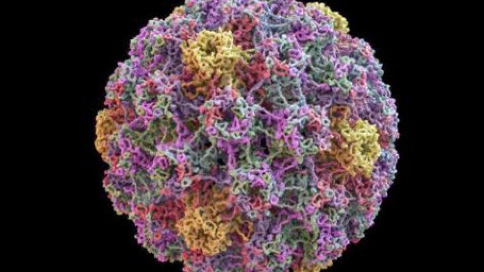 4 marzo: giornata mondiale contro il Papillomavirus
