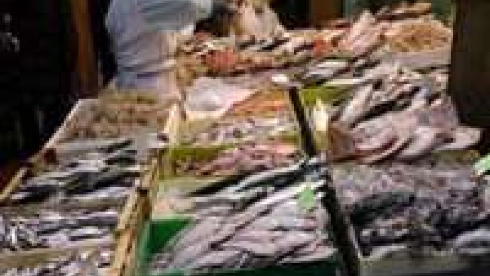 106 tonnellate pesce sequestrate da Capitaneria Ravenna 2013