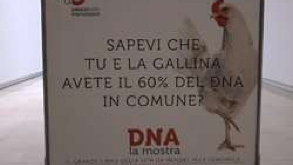 Mostra sul Dna a RomaA Roma la mostra sul Dna: da Mendel all'ingegneria genetica