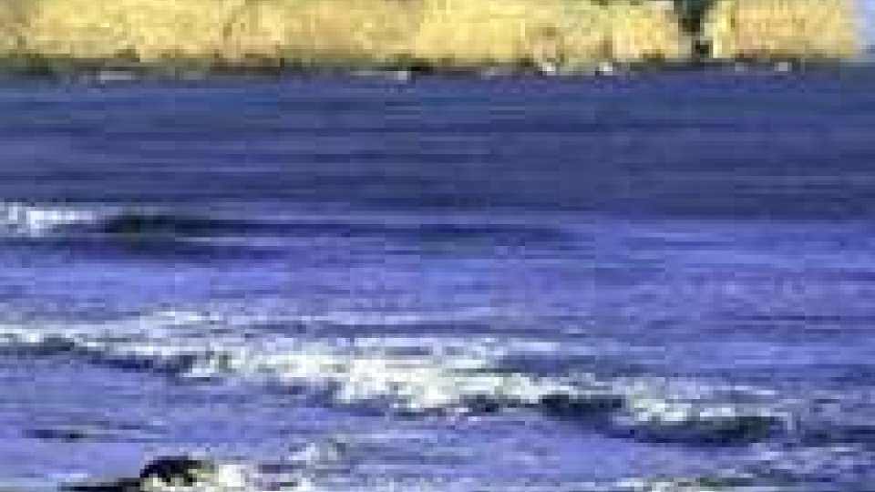 Argentina: affoga mentre cerca di lanciare le ceneri della moglie in mare