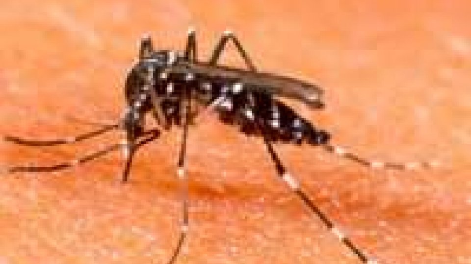 Poche zanzare: azienda mette dipendenti in cassa intergrazione