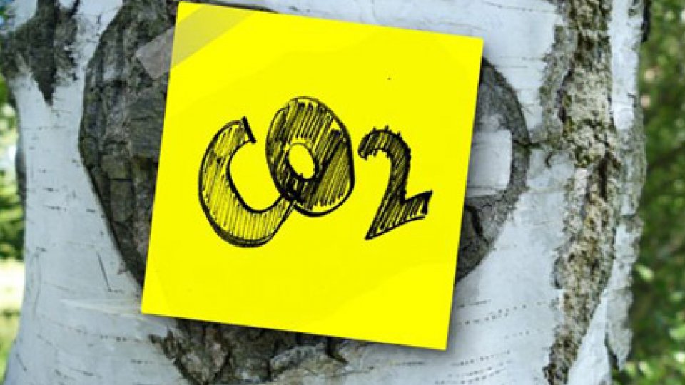 “Non c'è più tempo”, l’ONU annuncia la roadmap in vista della COP25