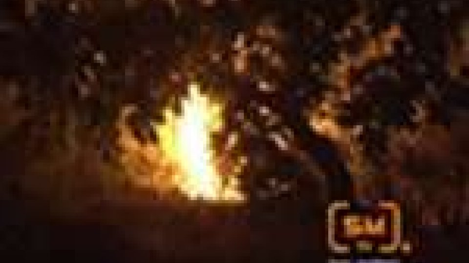 Torraccia in fiamme: incendio brucia due ettari di macchiaIncendio divampa nella notte a Torraccia