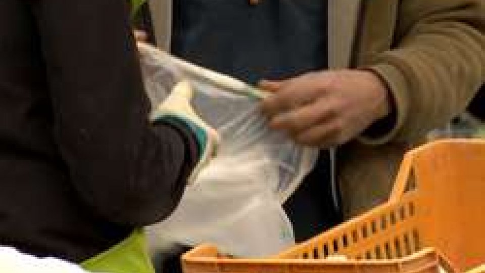 In Italia la polemica sui sacchetti biodegradabiliPolemica sui sacchetti bio: rincaro medio annuale tra i 4 e i 12 euro a famiglia