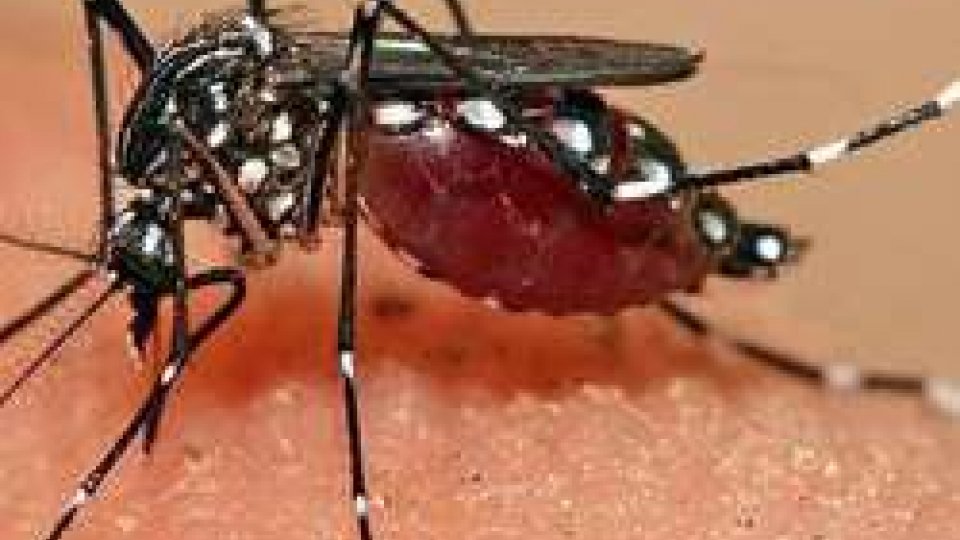 Ordinanza per la prevenzione e il controllo delle malattie trasmesse da insetti vettori in particolare dalla zanzara tigre