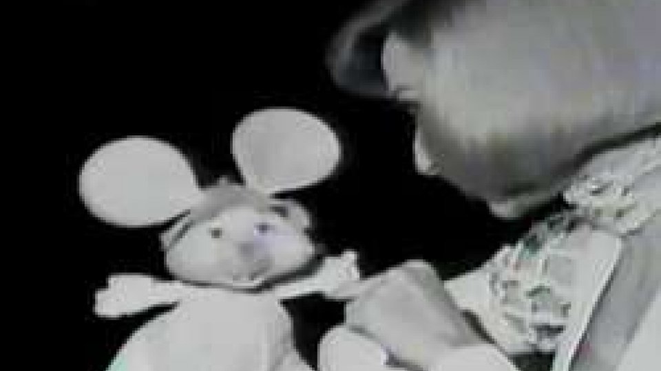 Topo Gigio