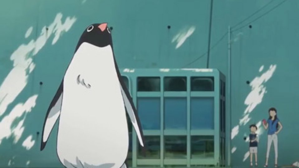 “PENGUIN HIGWAY”ANIME giapponesi in PINGUINI VOLANTI cinematografici