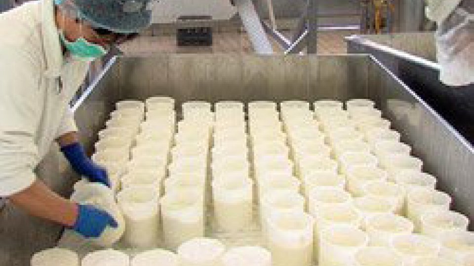 Centrale del latte: l'interesse della Federazione russa ai prodotti tipici del territorio
