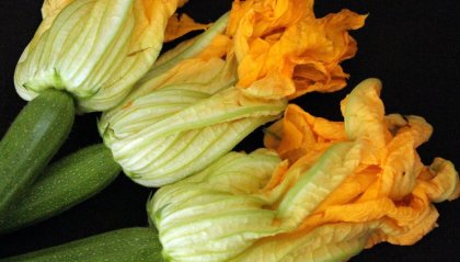 Parmigiana di zucchine ed i suoi fiori