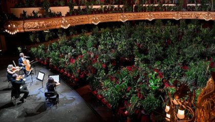 A Barcellona un concerto con 4 archi e 2.292 piante